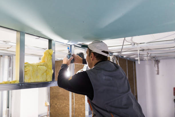 Best Specialized Insulation Services in Richland Hills, TX